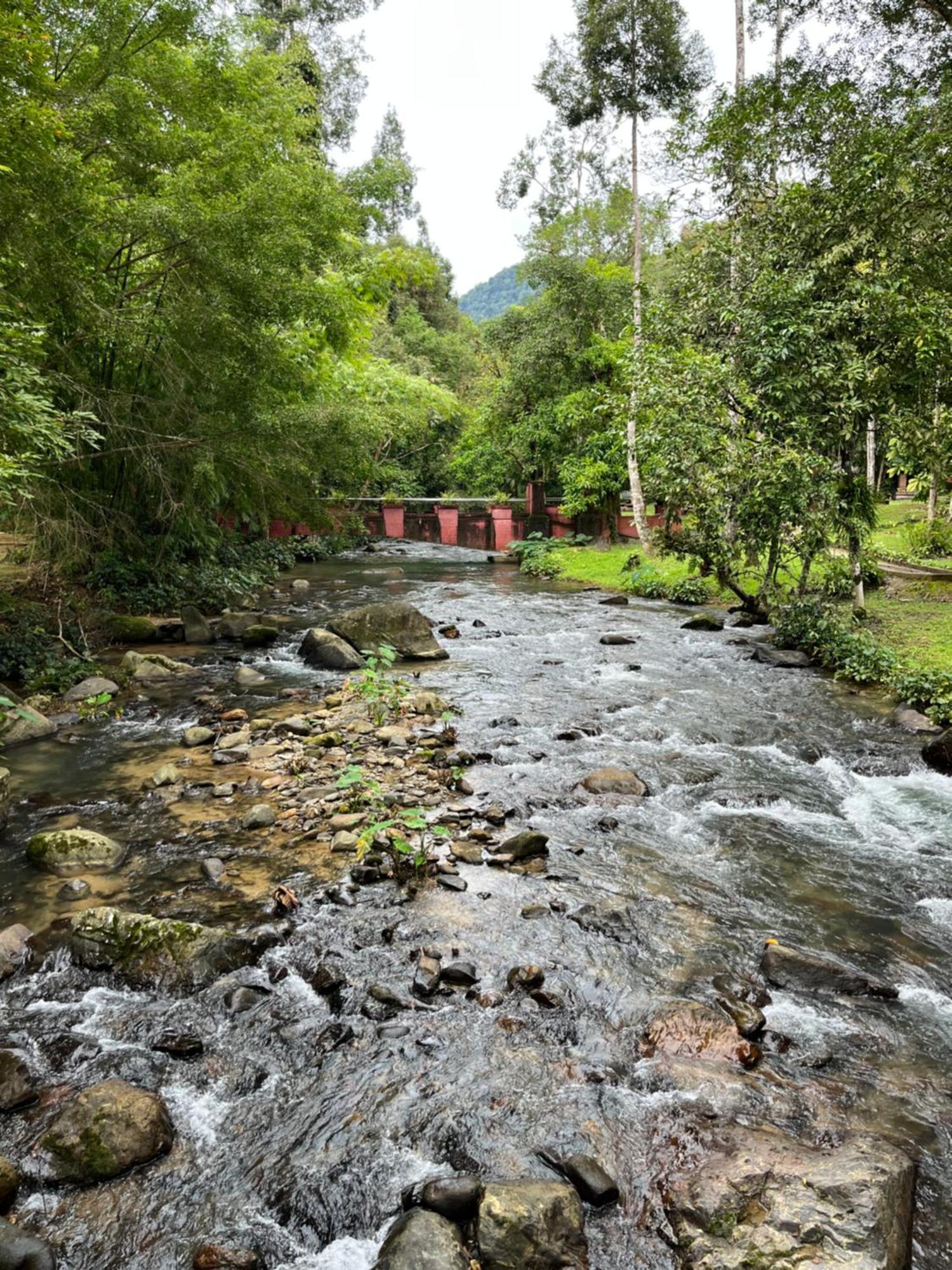 Khao Sok National Park Khaosok River Camp מראה חיצוני תמונה