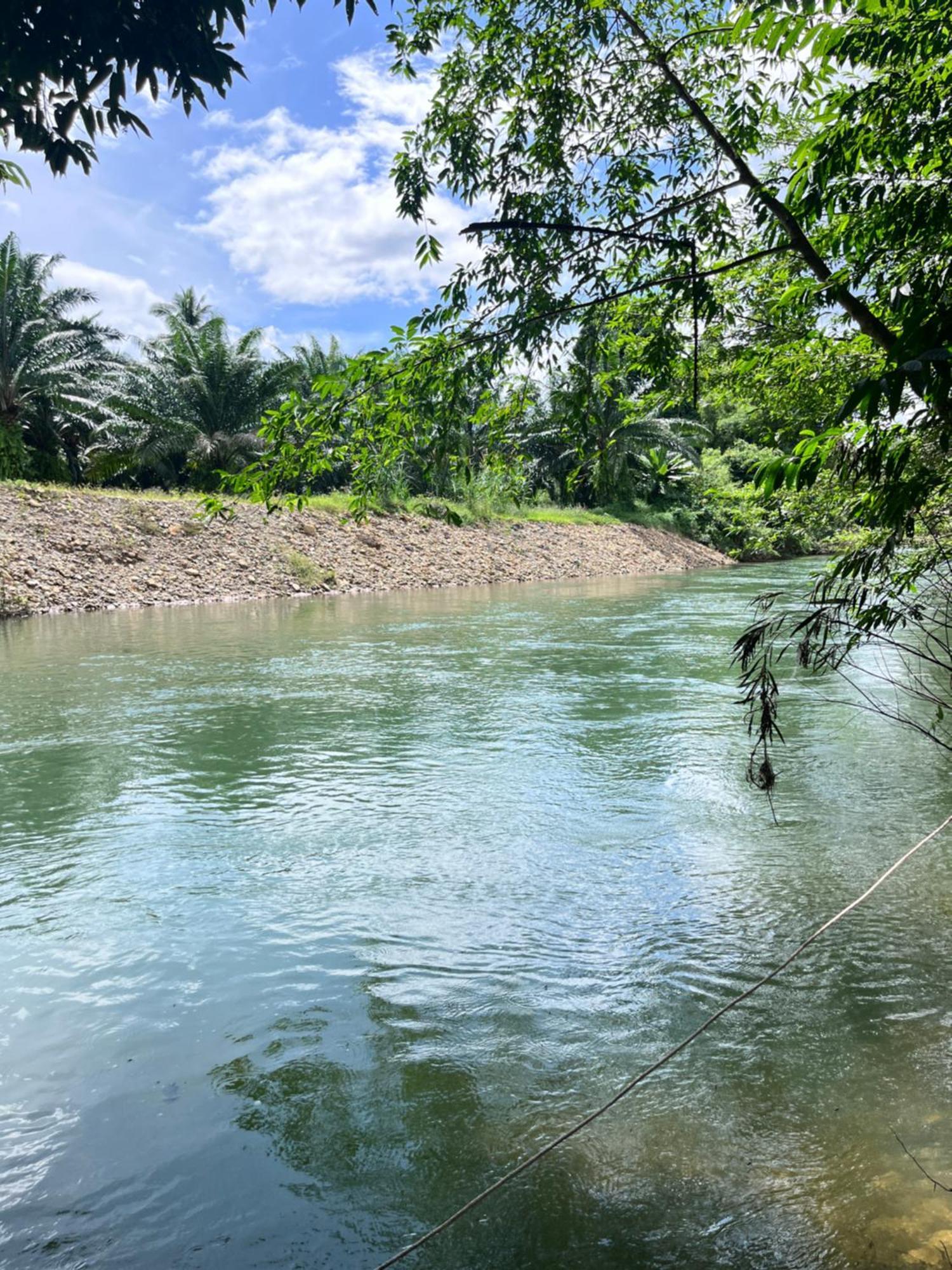 Khao Sok National Park Khaosok River Camp מראה חיצוני תמונה