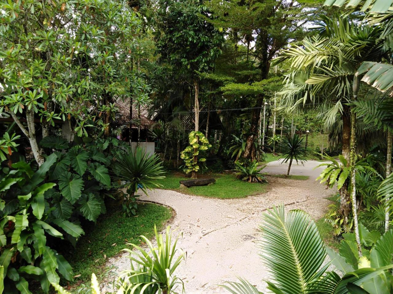 Khao Sok National Park Khaosok River Camp מראה חיצוני תמונה