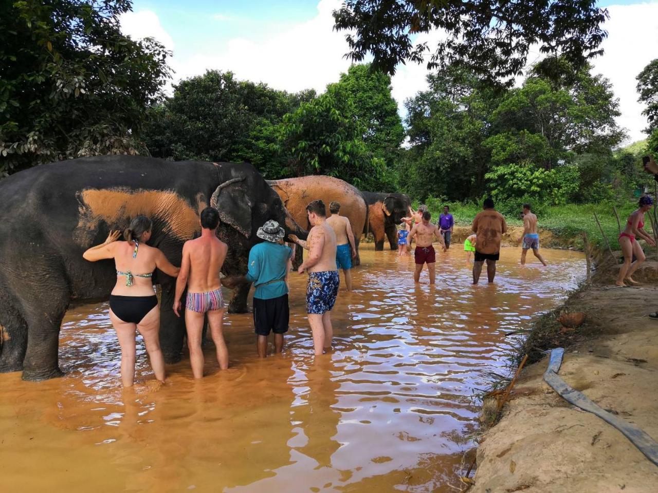 Khao Sok National Park Khaosok River Camp מראה חיצוני תמונה