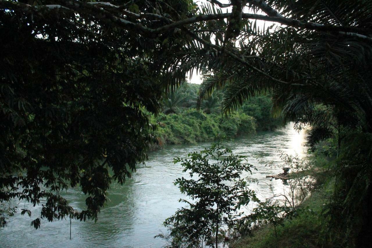 Khao Sok National Park Khaosok River Camp מראה חיצוני תמונה